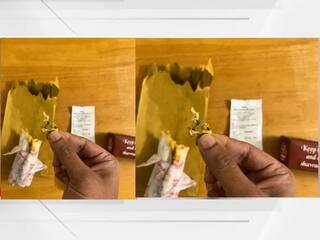 Swiggy Order : स्वीगीकडून हौसेने चिकन मागवले अन् पीसमध्ये निघाला धातूचा तुकडा; धक्कादायक प्रकार आला समोर