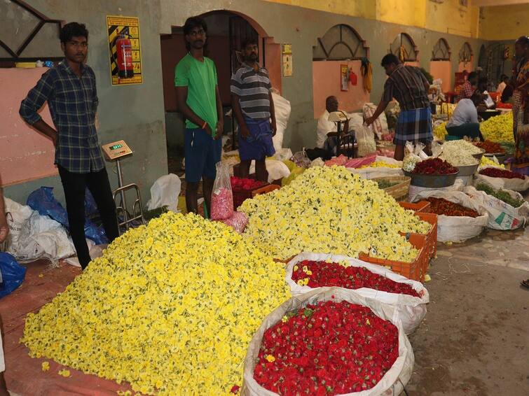 pongal 2024 : Jasmine rose to Rs.3,000 per kg during the Pongal festival - TNN Pongal 2024: பொங்கல் பண்டிகையை ஒட்டி தஞ்சையில் கிலோ ரூ.3 ஆயிரத்திற்கு உயர்ந்த மல்லிகைப்பூ