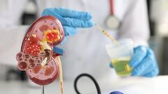 Kidney Health: પેટની આ સામાન્ય ગરબડને ન લો હળવાશથી... કિડની ડેમેજ હોવાનો હોઈ શકે છે સંકેત