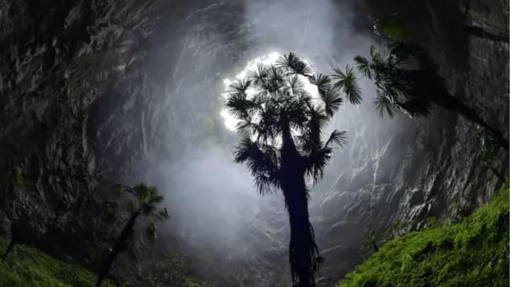 China Magical Forest: ছবি: UNESCO.