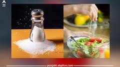Health Care: ਜ਼ਿਆਦਾ ਨਮਕ ਖਾਣ ਨਾਲ ਹੋ ਸਕਦੀਆਂ ਇਹ ਬਿਮਾਰੀਆਂ...ਹੋ ਜਾਓ ਸਾਵਧਾਨ!