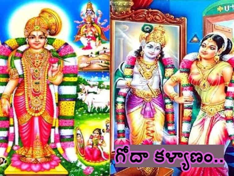 Bhogi Goda Kalyanam 2024 Dhanurmasam What Is Thiruppavai Who is Andal Godha Dhanurmasa Puja  Know In telugu Bhogi Goda Kalyanam 2024:  తిరుప్పావై, పాశురాలు అంటే ఏంటి - శ్రీ రంగనాథుడిలో కలసిపోయిన గోదాదేవి ఎవరు!