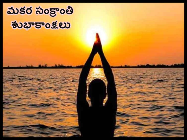 Makar Sankranti 2024 Wishes Quotes Images Messages and Greetings in Telugu Makar Sankranti 2024 Wishes: మకర సంక్రాంతి శుభాకాంక్షలు - మీ బంధుమిత్రులకు చెప్పేయండిలా!