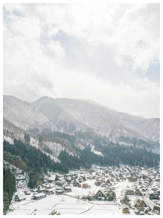 कश्मीर में ताजा बर्फबारी की खूबसूरत तस्वीरें