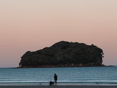 Famous Dishes: तुम्हीही लक्षद्वीपला भेट देण्याचा विचार करत आहात का? मग 'या' प्रसिद्ध पदार्थांची चव चाखायला विसरू नका