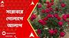 Rose Show: রবীন্দ্র সরোবর চত্বরে শুরু হল ৩৪তম গোলাপ প্রদর্শনী, চলবে রবিবার পর্যন্ত | ABP Ananda LIVE
