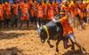 Jallikattu 2024: திருச்சியில் முதல் ஜல்லிக்கட்டு சூரியூரில் வரும் 16ம் தேதி தொடக்கம்..வீரர்கள் உற்சாகம்
