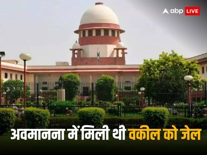 Delhi High Court District Court Supreme Court Asks Lawyer To Apologise To Judges In Contempt Of Court Case 'पहले एक-एक जज से बिना शर्त मांगो माफी तब...', सुप्रीम कोर्ट का अदालत की अवमानना मामले में वकील को आदेश