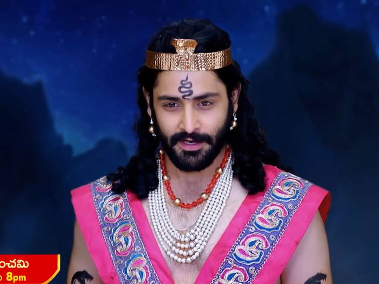 naga panchami serial today january 13th episode written update in telugu Naga Panchami Serial Today January 13th: 'నాగ పంచమి' సీరియల్: ఫణేంద్రను హెచ్చరించిన సుబ్బు - నాగ చంద్రకాంత మొక్క తీసుకురమ్మన్న నాగసాధువు!