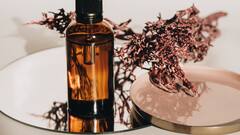 Hair Growth: শুধু নারকেল তেল নয়, চুলের বৃদ্ধিতে সাহায্য করে সর্ষের তেলও, কীভাবে?