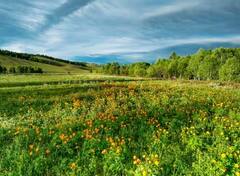 Agriculture: ਜੇਕਰ ਨੌਕਰੀ ਦੇ ਨਾਲ-ਨਾਲ ਕਰਨਾ ਚਾਹੁੰਦੇ ਖੇਤੀ, ਤਾਂ ਇਨ੍ਹਾਂ ਚੀਜ਼ਾਂ ਦੀ ਕਰ ਸਕਦੇ ਸ਼ੁਰੂਆਤ, ਹੋਵੇਗੀ ਚੰਗੀ ਕਮਾਈ