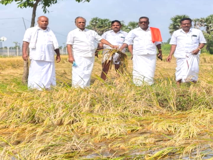 விவசாயிகளின் குறுகிய கால கடனை தள்ளுபடி செய்ய வேண்டும் - விவசாய சங்க மாநில பொதுச் செயலாளர் மாசிலாமணி