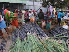 களைகட்டும் பொங்கல் பண்டிகை.. சேலத்தில் கரும்பு, மஞ்சள் விற்பனை அமோகம்..