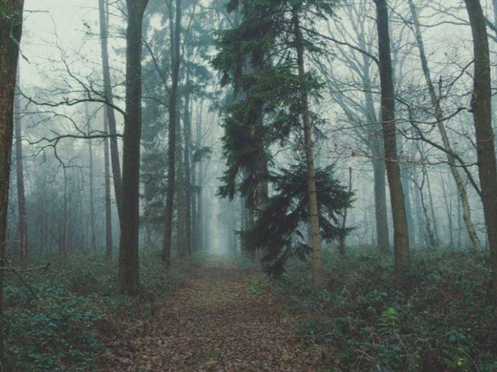 ऑप्टिकल इल्यूजन को हिंदी में कहते हैं दृष्टि भ्रम यानी नजरों का धोखा. ऑप्टिकल इल्यूजन से आपका दिमाग कितना तेज चलता है. इस बात का पता लगाया जा सकता है. आपके सामने कोई क्विज या फिर कोई तस्वीर होती है. उसमें छुपा हुआ राज आपको ढूंढना होता है.