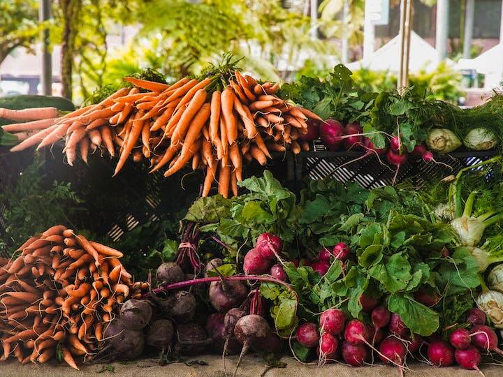 रिपोर्ट्स के अनुसार इन सभी चीजों की खेती में मेहनत कम लगती और बढ़िया उतपादन होता है.
