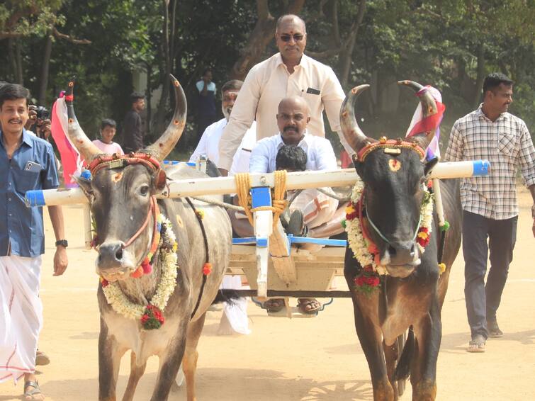 Pongal festival celebrated police department Coimbatore commissioner ride bull vehicle மாட்டு வண்டி ஓட்டி மாஸ் காட்டிய கோவை காவல் ஆணையர்! களைகட்டிய காவல்துறை பொங்கல்விழா!