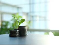 Agriculture: ਜੇਕਰ ਮਨੀ ਪਲਾਂਟ ਨਹੀਂ ਵੱਧ ਰਿਹਾ ਤਾਂ ਕਰੋ ਇਹ ਕੰਮ, ਛੇਤੀ ਹੋ ਜਾਵੇਗਾ ਵੱਡਾ