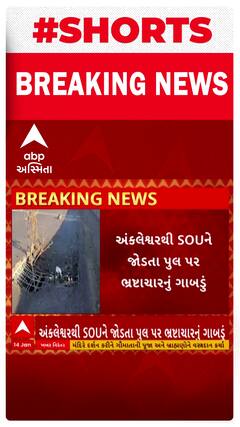 Ankleshwar Bridge | અંકલેશ્વરથી SOUને જોડતા પુલ પર ભ્રષ્ટાચારનું ગાબડું