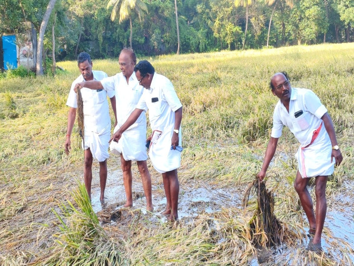 விவசாயிகளின் குறுகிய கால கடனை தள்ளுபடி செய்ய வேண்டும் - விவசாய சங்க மாநில பொதுச் செயலாளர் மாசிலாமணி