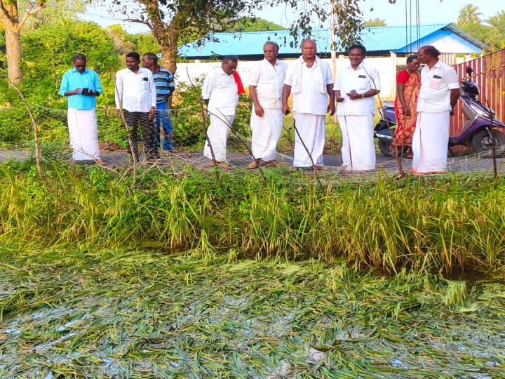 விவசாயிகளின் குறுகிய கால கடனை தள்ளுபடி செய்ய வேண்டும் - விவசாய சங்க மாநில பொதுச் செயலாளர் மாசிலாமணி