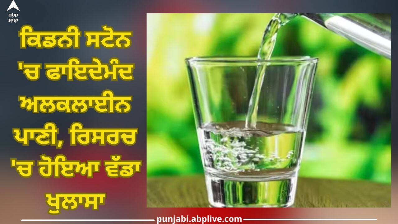 Alkaline Water: ਕਿਡਨੀ ਸਟੋਨ 'ਚ ਫਾਇਦੇਮੰਦ ਅਲਕਲਾਈਨ ਪਾਣੀ, ਰਿਸਰਚ 'ਚ ਹੋਇਆ ਵੱਡਾ ਖੁਲਾਸਾ