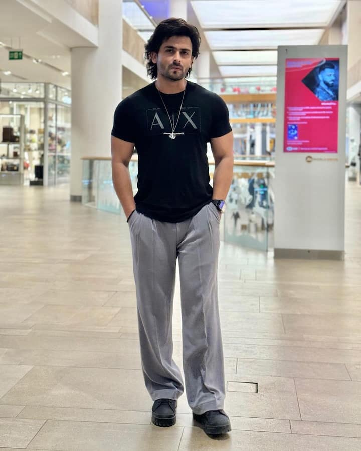 शोएब इब्राहिम, जिन्हें आखिरी बार टीवी शो अजूनी में देखा गया था, ने झलक दिखला जा 11 के साथ रियलिटी शो में अपनी शुरुआत की. उनकी कुल संपत्ति 27 करोड़ रुपये है.