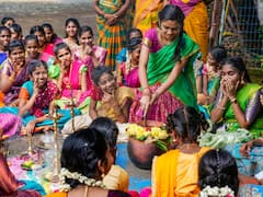 Pongal Celebrations Around The Country- IN PICS