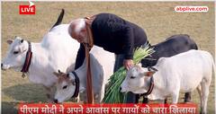PM Modi Unseen Video: मकर सक्रांति पर PM मोदी ने गायों को खिलाया चारा | Makar Sankranti | ABP News