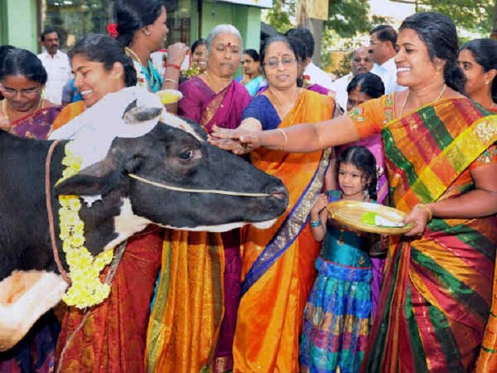 உழவுக்கும், உணவுக்கும் உதவும் கால்நடை செல்வங்களுக்கு நன்றியுடன் விவசாயிகள் செய்யும் பட்டி பொங்கல்