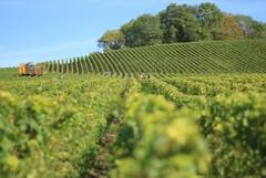 Agriculture: ਜੇਕਰ ਨੌਕਰੀ ਦੇ ਨਾਲ-ਨਾਲ ਕਰਨਾ ਚਾਹੁੰਦੇ ਖੇਤੀ, ਤਾਂ ਇਨ੍ਹਾਂ ਚੀਜ਼ਾਂ ਦੀ ਕਰ ਸਕਦੇ ਸ਼ੁਰੂਆਤ, ਹੋਵੇਗੀ ਚੰਗੀ ਕਮਾਈ