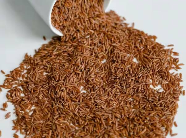 cumin-price-down-this-year-know-why-jeera-rates-are-in-trend Cumin Price: ਹੁਣ ਸਸਤਾ ਮਿਲੇਗਾ ਜੀਰਾ! ਜਾਣੋ ਕਿਉਂ ਜੀਰੇ ਦੀ ਖੇਤੀ ਦੀ ਹੋ ਰਹੀ ਚਰਚਾ