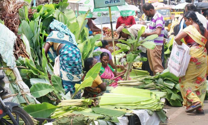 Pongal 2024 : பொங்கல் கோலாகலம்.. திருச்சியில் விண்ணைத்தொட்ட மல்லிகை பூ கிலோ ரூபாய் 3000 விற்பனை