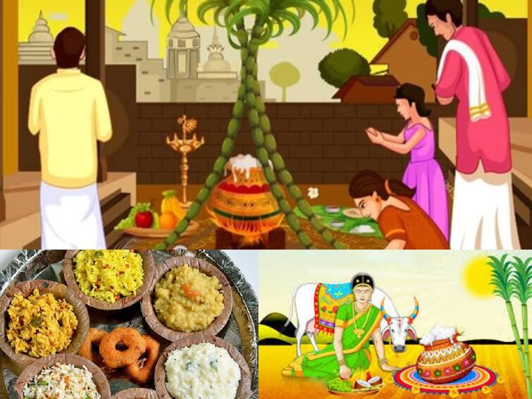 Kaanum Pongal History in Tamil Why is kaanum pongal Celebrated All Details You Need To Know Kaanum Pongal 2024: மக்களே! காணும் பொங்கல் ஏன் கொண்டாடப்படுகிறது?