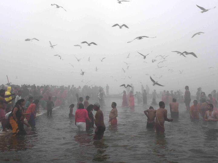 They take a holy dip in the Ganga river amid fog on a cold winter morning on the occasion of Makar Sankranti during the annual religious 'Magh Mela' festival at Sangam, in Prayagraj. (Image Source: PTI)