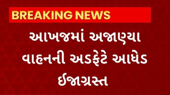 Mehsana News : મેહસાણા જિલ્લાના લખવડ અને આખજ ગામમાં બની હિટ એન્ડ રનની ઘટના