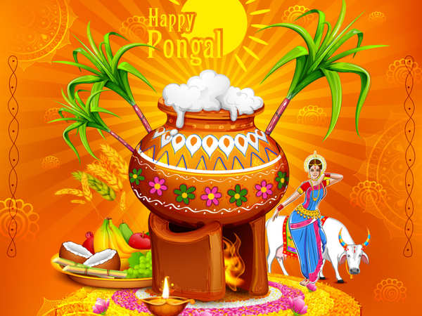 Pongal 2024 Wishes: மக்களே போனை எடுங்க.. உங்களுக்கு பிடித்தவர்களுக்கு பொங்கல் வாழ்த்துகளை சொல்லுங்க..!