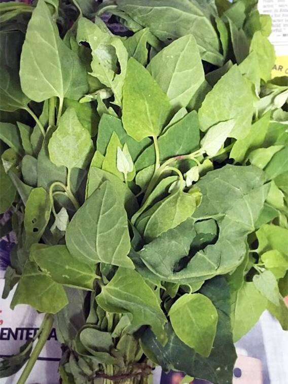 सर्दियों में क्यों खाना चाहिए बथुआ?