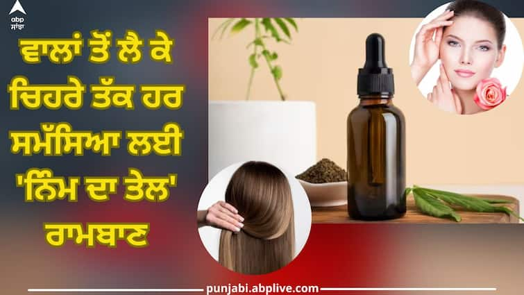 Neem oil is medicine for every problem from hair to face Neem Oil: ਵਾਲਾਂ ਤੋਂ ਲੈ ਕੇ ਚਿਹਰੇ ਤੱਕ ਹਰ ਸਮੱਸਿਆ ਲਈ 'ਨਿੰਮ ਦਾ ਤੇਲ' ਰਾਮਬਾਣ, ਜਾਣੋ ਇਸਦੇ ਚਮਤਕਾਰੀ ਲਾਭ