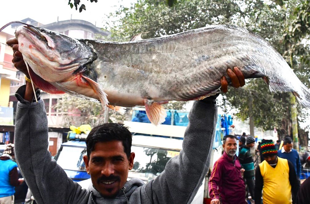All About Assam's 'Uruka' As People Throng To Fish Markets On The Eve Of Magh Bihu