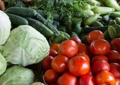 Agriculture: ਜੇਕਰ ਨੌਕਰੀ ਦੇ ਨਾਲ-ਨਾਲ ਕਰਨਾ ਚਾਹੁੰਦੇ ਖੇਤੀ, ਤਾਂ ਇਨ੍ਹਾਂ ਚੀਜ਼ਾਂ ਦੀ ਕਰ ਸਕਦੇ ਸ਼ੁਰੂਆਤ, ਹੋਵੇਗੀ ਚੰਗੀ ਕਮਾਈ