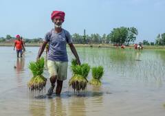 Kisan Credit Card: ਕਿਸਾਨ ਕ੍ਰੈਡਿਟ ਕਾਰਡ ਨਾਲ ਹੁੰਦੇ ਆਹ ਫਾਇਦੇ, ਬਿਨਾ ਗਾਰੰਟੀ ਤੋਂ ਮਿਲਦਾ ਇੰਨਾ ਲੋਨ