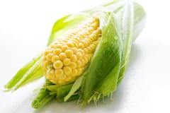 Corn Benefits : मका खाण्याचे 'हे' आहेत आरोग्यदायी फायदे!