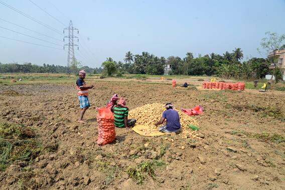 Kisan Credit Card: किसान क्रेडिट कार्ड के ये हैं बड़े फायदे, बिना गारंटी मिलता है इतने लाख का लोन