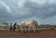 Kisan Credit Card: ਕਿਸਾਨ ਕ੍ਰੈਡਿਟ ਕਾਰਡ ਨਾਲ ਹੁੰਦੇ ਆਹ ਫਾਇਦੇ, ਬਿਨਾ ਗਾਰੰਟੀ ਤੋਂ ਮਿਲਦਾ ਇੰਨਾ ਲੋਨ