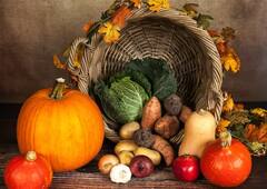 ਆਲੂ ਸਬਜ਼ੀਆਂ ਦਾ ਰਾਜਾ ਹੈ, ਫਿਰ ਕਿਹੜੀ ਸਬਜ਼ੀ ਨੂੰ ਕਿਹਾ ਜਾਂਦਾ ਹੈ ਰਾਣੀ ?