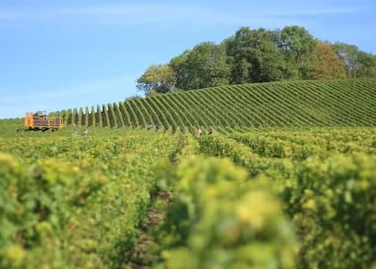 જો તમે નોકરીની સાથે ખેતી કરવા માંગો છો તો આ સમાચાર તમારા માટે ખૂબ જ મહત્વપૂર્ણ છે. આજે અમે તમને એવા પાકો વિશે જણાવીશું જેને વાવીને તમે સારો નફો મેળવી શકો છો. ઉપરાંત તેમને વધુ જાળવણીની જરૂર નથી