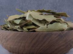 सर्दियों में पानी में सुबह उबालकर पिएं तेजपत्ता, हेल्थ को मिलेंगे कई फायदे