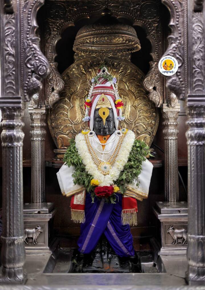 आपल्या शेतात पिकलेले नवंधान्य पहिल्यांदा विठुरायाच्या चरणी अर्पण करायचे आणि या धान्याने रुक्मिणी मातेचा वाण वसा करायची परंपरा राज्यातील सुवासिनी महिला करत असतात.