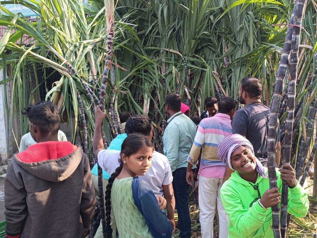 Pongal 2024: திருப்பத்தூரில் பொங்கல் திருநாளை முன்னிட்டு களைகட்டிய கரும்பு விற்பனை