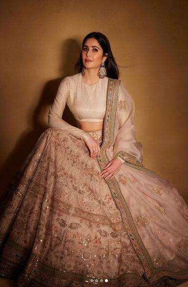 ਕੈਟਰੀਨਾ ਕੈਫ ਦੇ ਇਸ ਲੁੱਕ ਨੂੰ ਦੇਖ ਕੇ ਹੋ ਜਾਵੇਗਾ ਪਿਆਰ